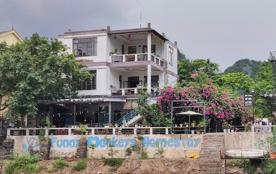 Funny Monkeys Homestay
